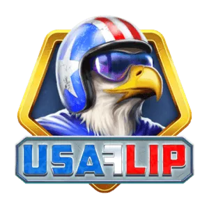 USA Flip